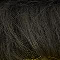 Product image for 12055_04
