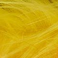 Product image for 12055_06
