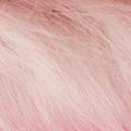 Product image for 12055_13