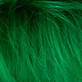 Product image for 12055_24
