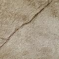 Product image for 12129_31