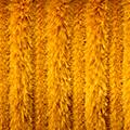 Product image for 12141_09