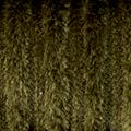 Product image for 12141_24