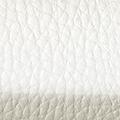 Product image for 12151_01
