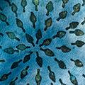 Product image for 12156_24