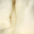 Product image for 19019_01