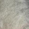 Product image for 19019_03
