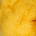 Product image for 19019_08