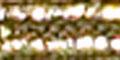 Product image for 310380_7