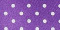 Product image for 31913_17