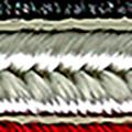 Product image for 31921_04