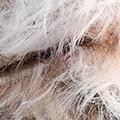 Product image for 54056_20