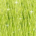 Product image for 551_0907