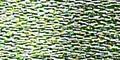 Product image for 553_0703