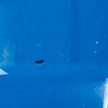 Product image for 62118_19
